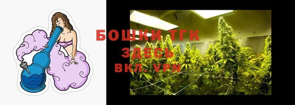 прущий лед Вязьма