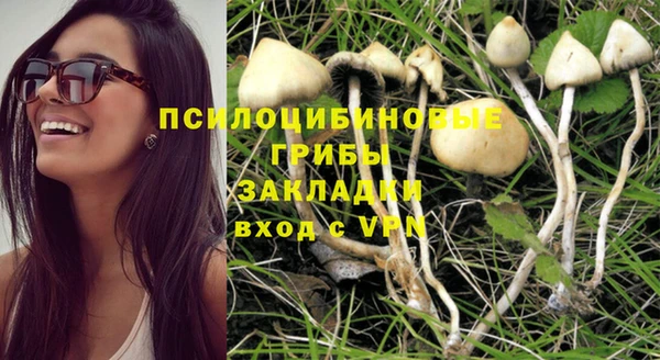 бошки Белоозёрский