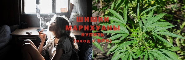 гидропоника Балабаново